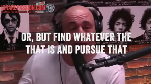 Joe Rogan - How to Succeed in Life