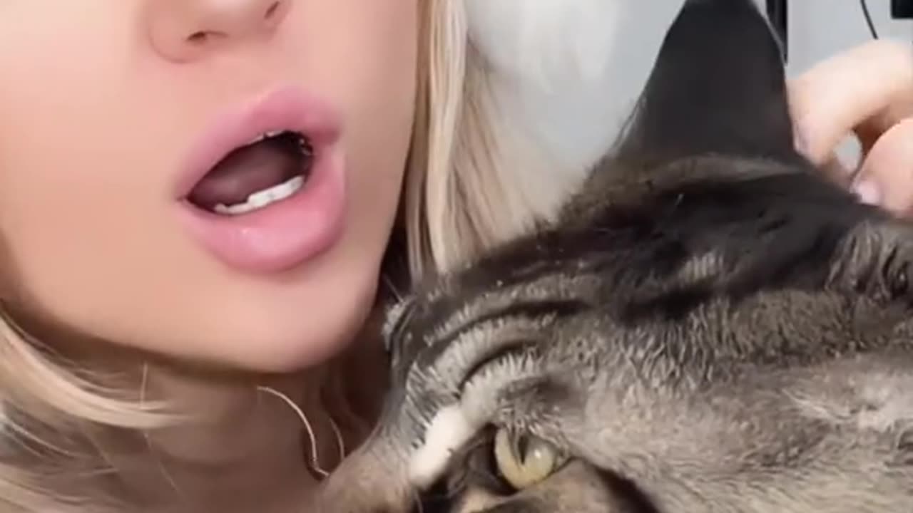 Cute cat with sexy girl