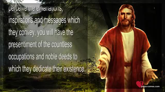 Freedom of Will, Conscience & the Comforting Spirit ❤️ The Book of the true Life Teaching 20 366