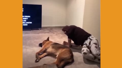 Cute Pets Doing Funny Things