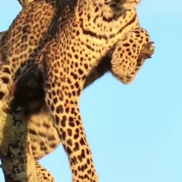 Sometimes you just want some me time 🤣