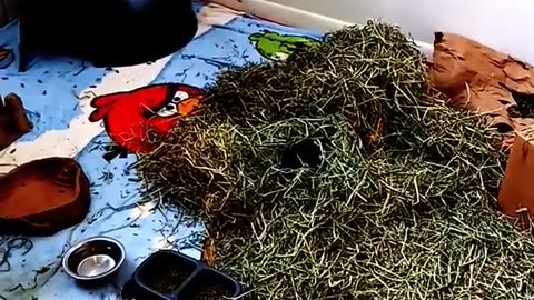 THERE'S NO TURNING BACK