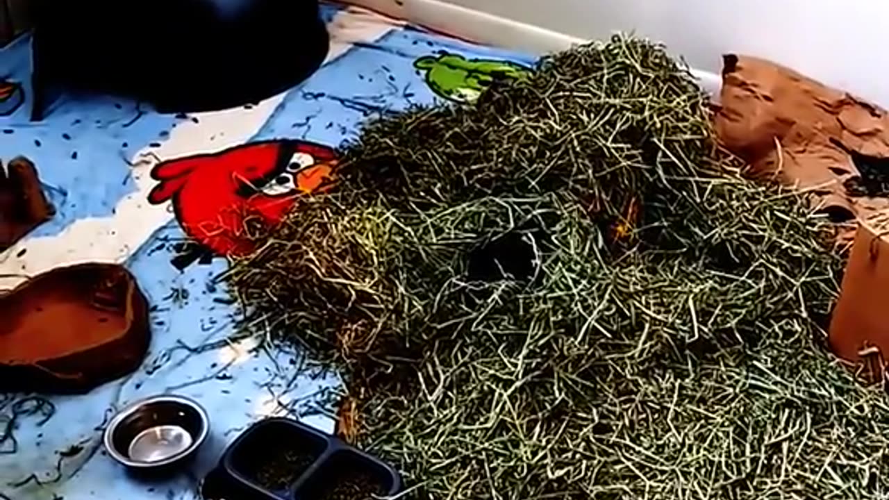 THERE'S NO TURNING BACK