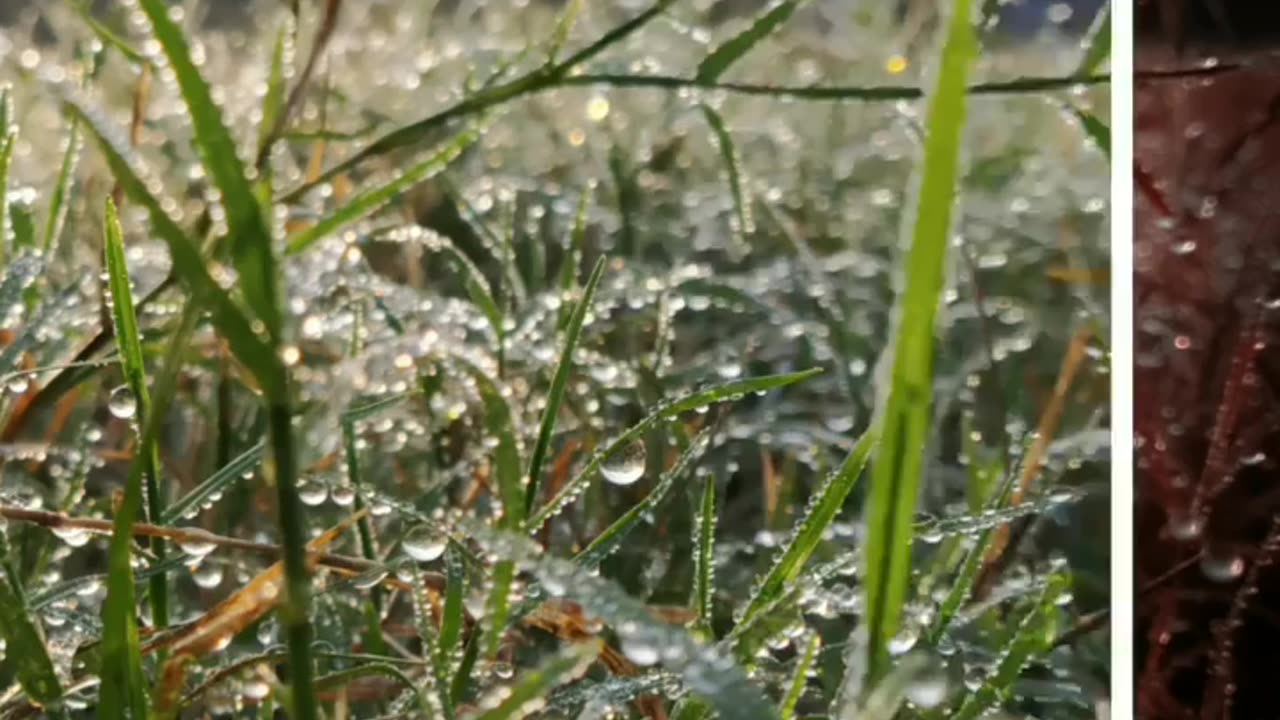 Wildlife in closer view with a natural perspective.