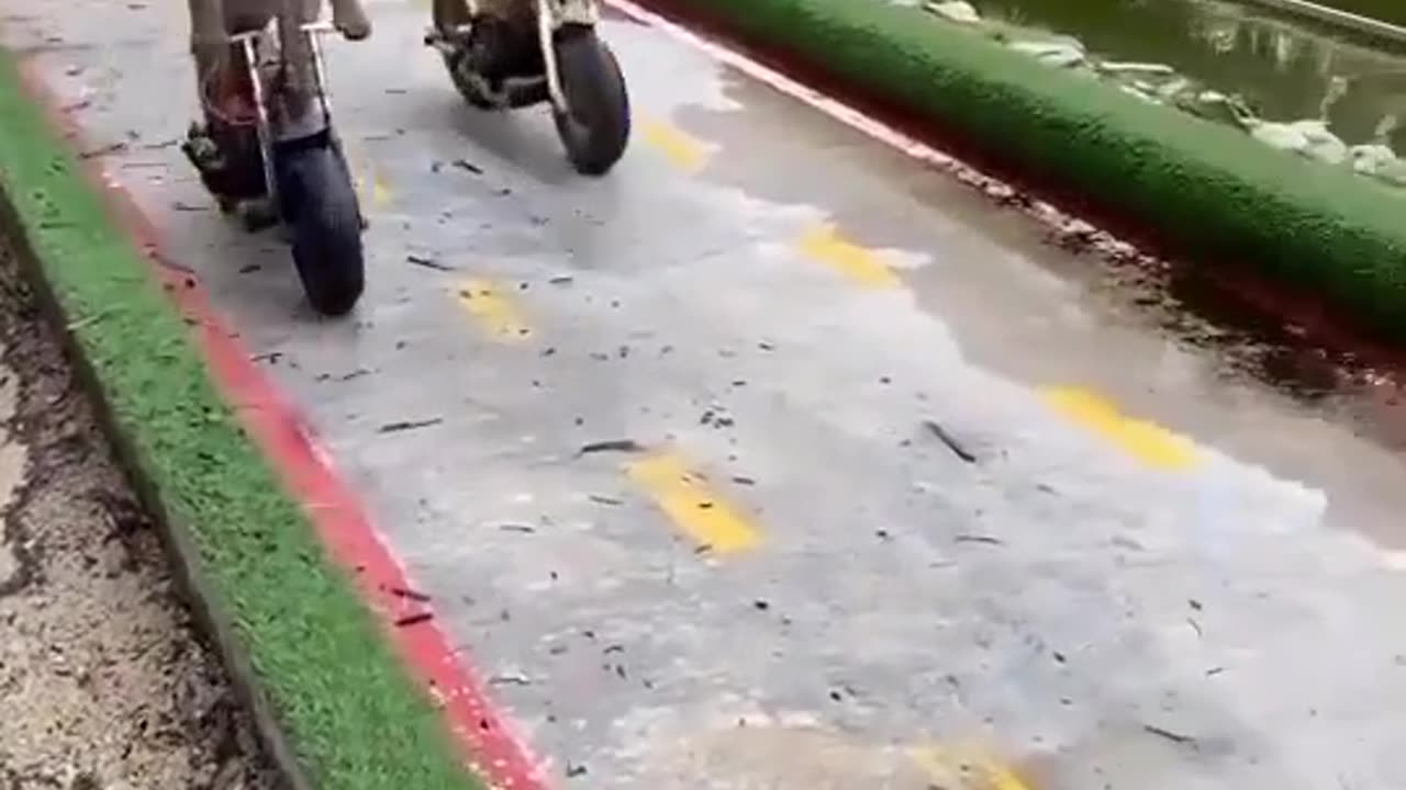 Monkey Ride A Motorcycle