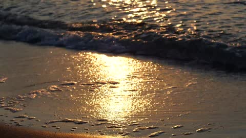 Tide with sunset time