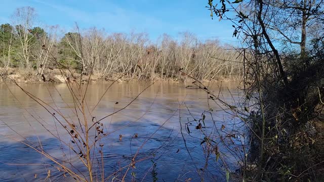 Bogue Chitto