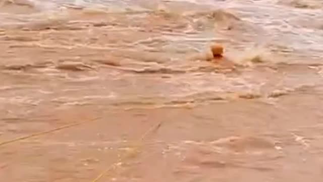 Salvação em Águas Rápidas...