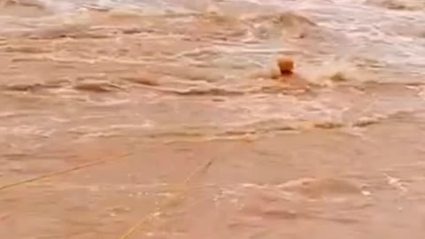 Salvação em Águas Rápidas...