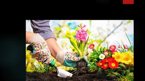 Gardening Service in Tampines