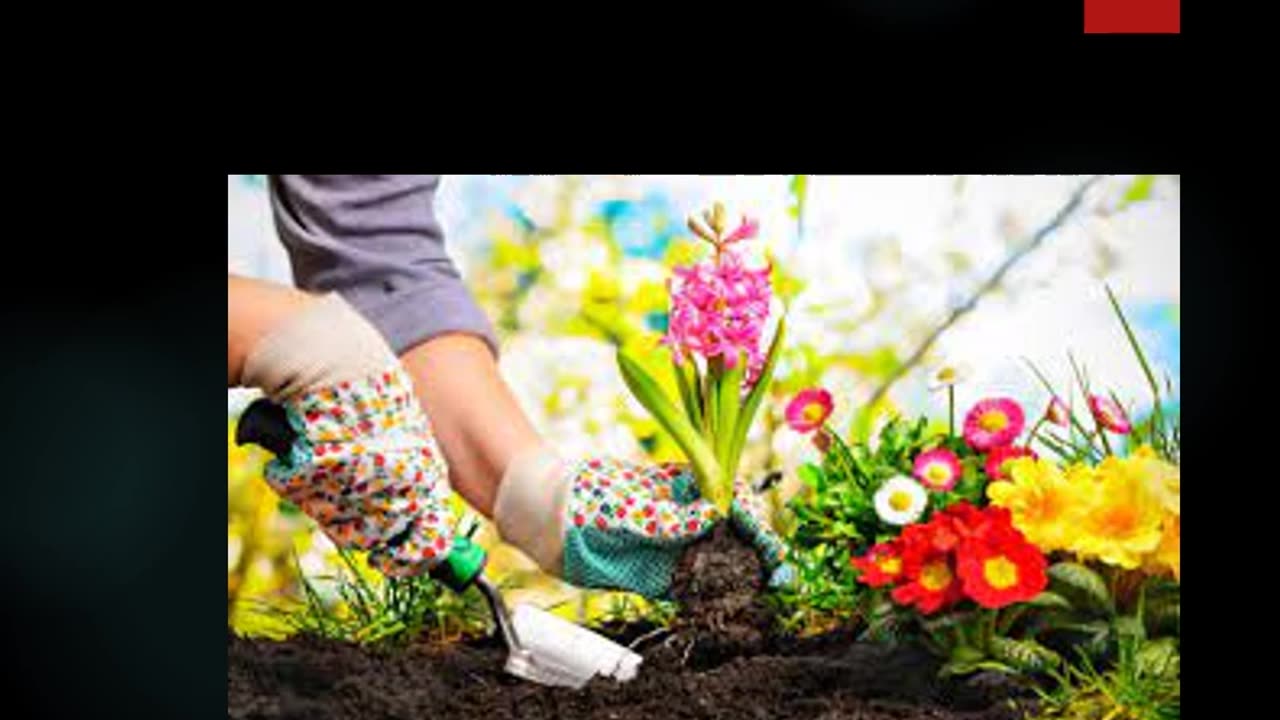 Gardening Service in Tampines