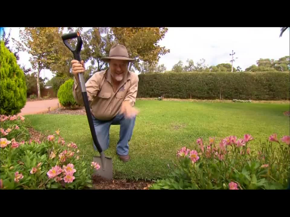 Best Turf For Around Australian Gardens | Palmetto Turf And Empire Turf by The Garden Gurus.