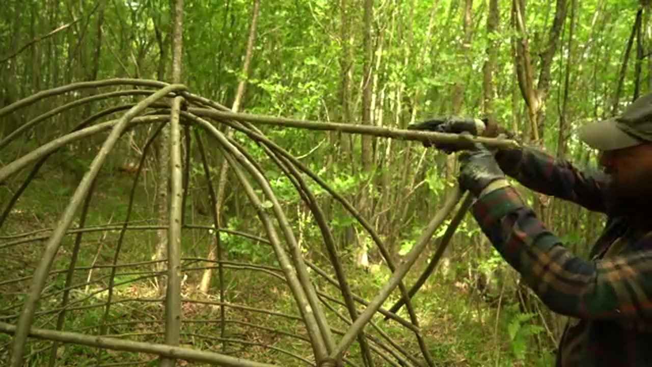 Building a survival shelter in a forest - camp food from natural herbs