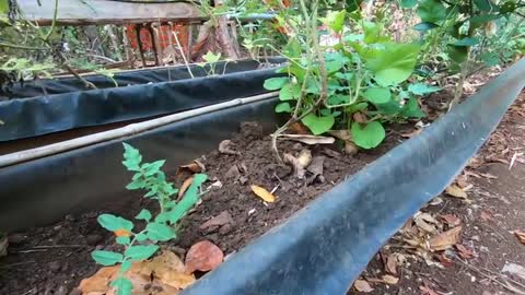 SELF SUFFICIENT