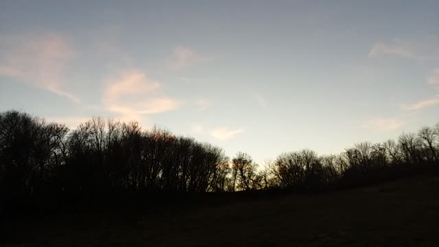 Psalm 11 Revised Standard