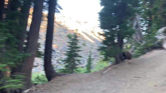 Central Oregon - Slate Rock Formations Embedded into Alpine Forest Trail