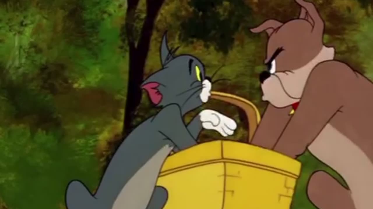 Tom and Jerry Fun