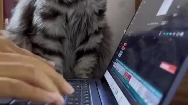 Full attention at work