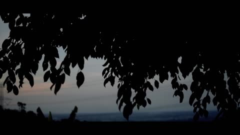 4K Nature Cinematography