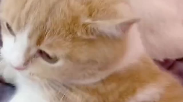 Did you hear that? What's that noise?