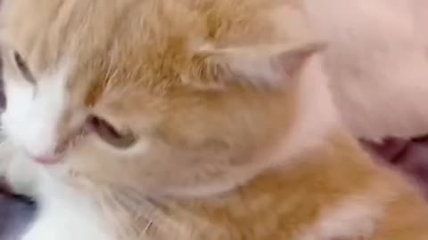 Did you hear that? What's that noise?
