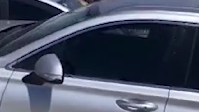 Shocking moment driver of 'stolen car' SMASHES into police