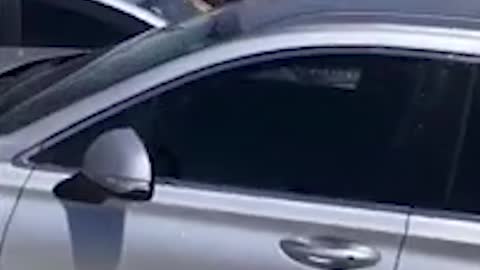 Shocking moment driver of 'stolen car' SMASHES into police