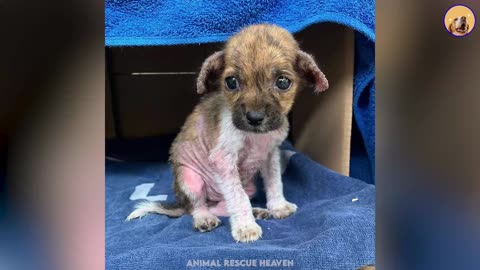 He desperately cried out for help after being abandoned on streets alone