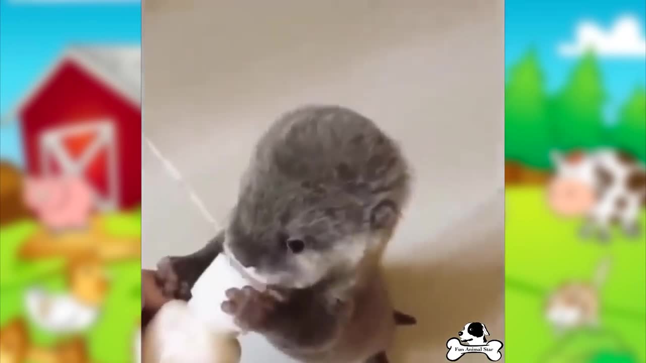 cute baby animals