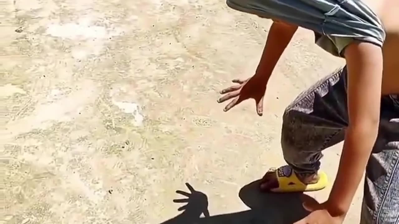 Funny frog