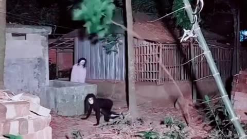 TWO GHOSTS CAPTURED BY CCTV CAMERA