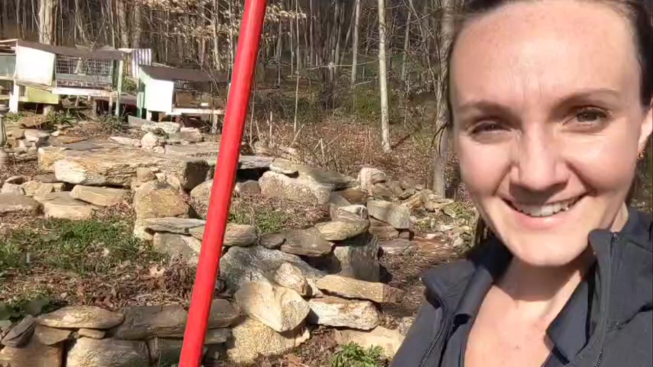 Medicinal Garden Spring Update! May 2024