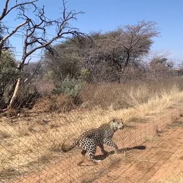 Hellboy in action slow motion. Absolutely stunning....