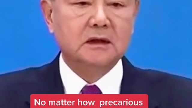 Spokesperson for the Chinese Representative