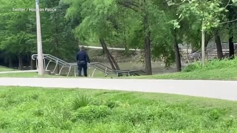 Police officer helps ducklings find mother