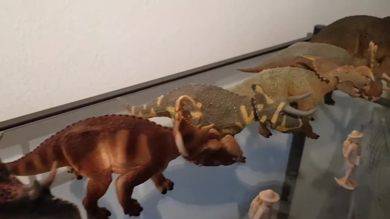 dinosaur models show 12