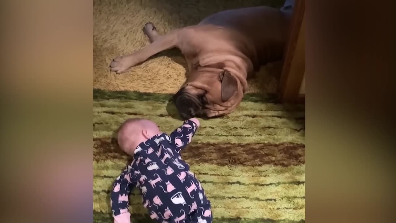 funny baby video of the week