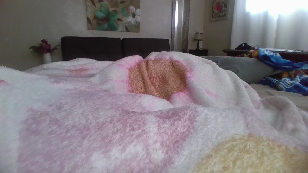 the bed glitch