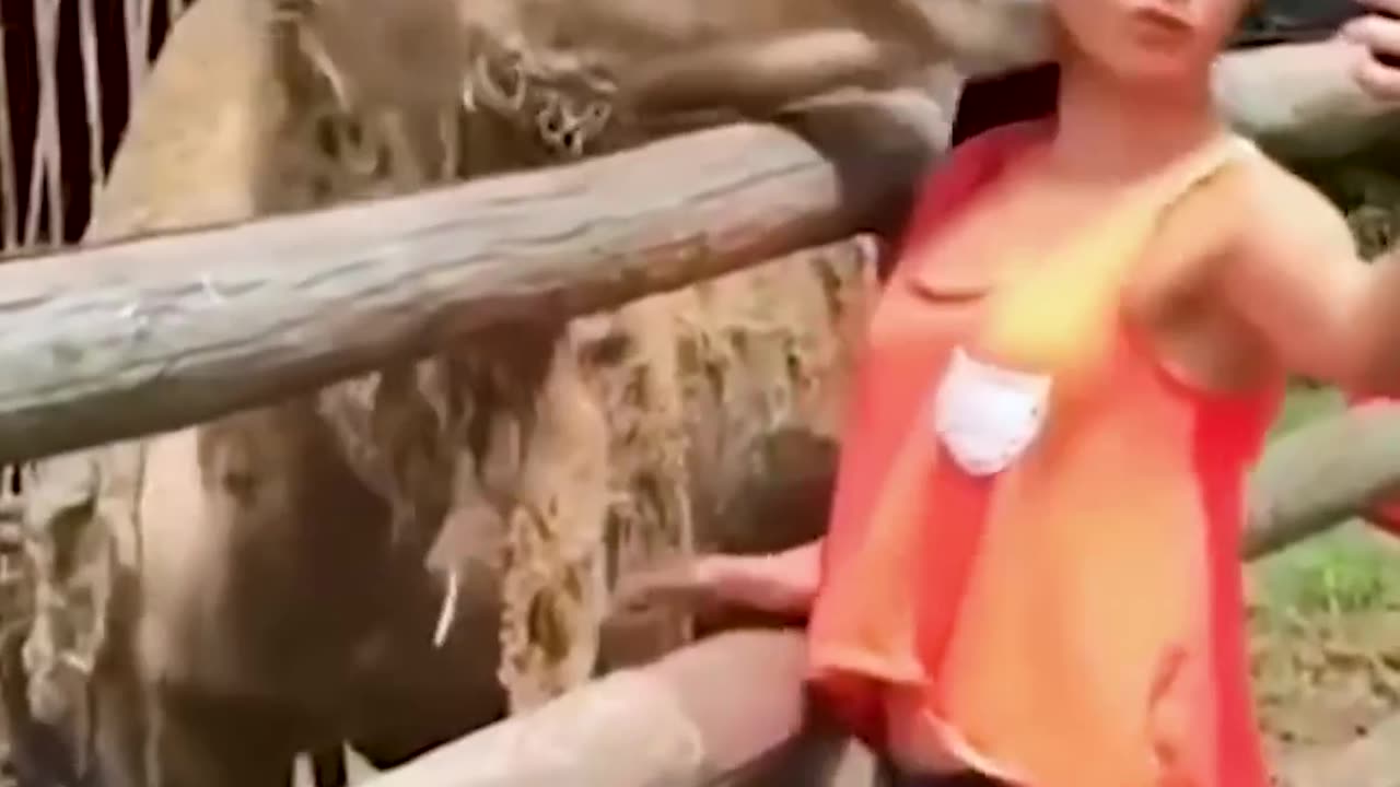 A Guide to Animal Bites | Laugh-out-loud moments.