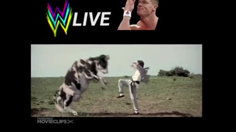 Wwe #John Cena #