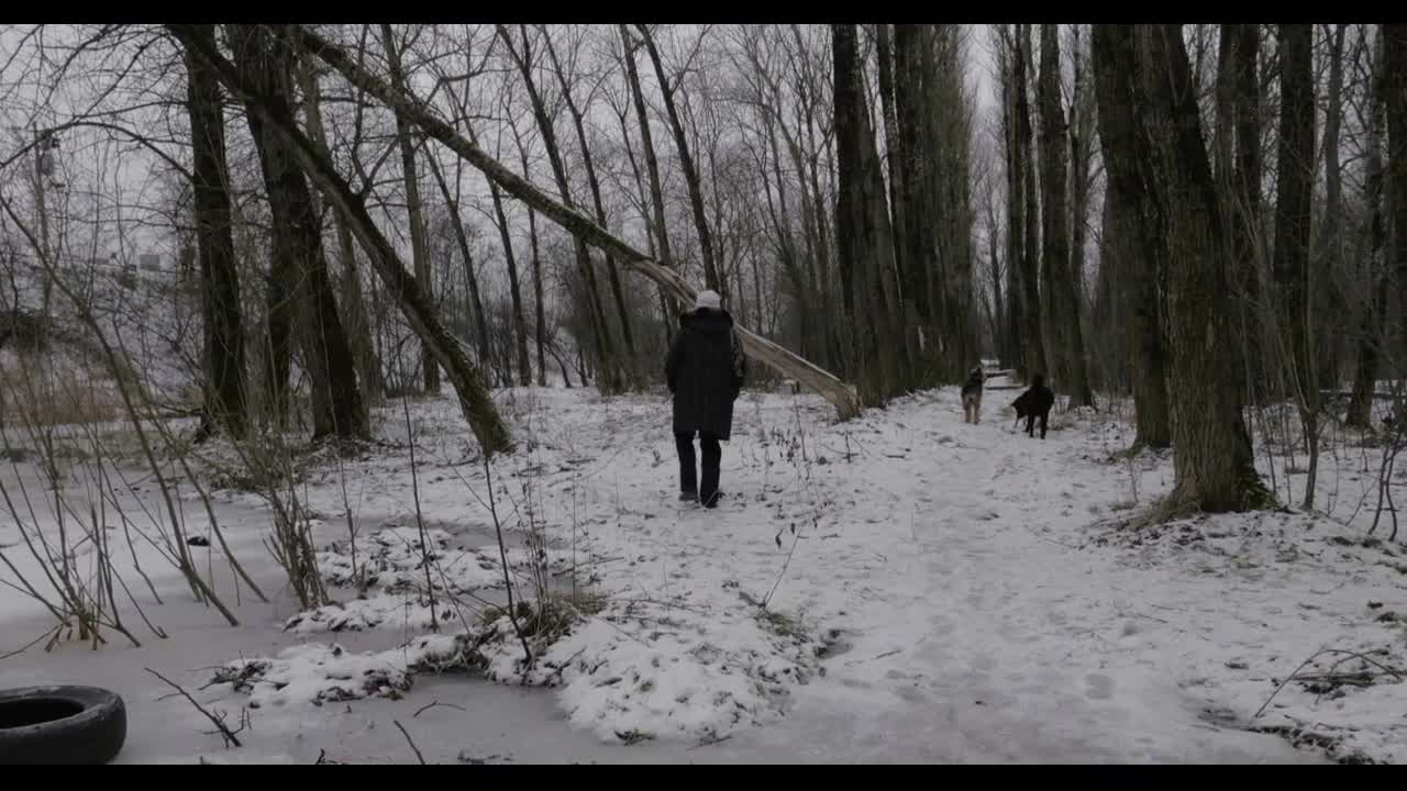 Woman and stray dogs in winter park