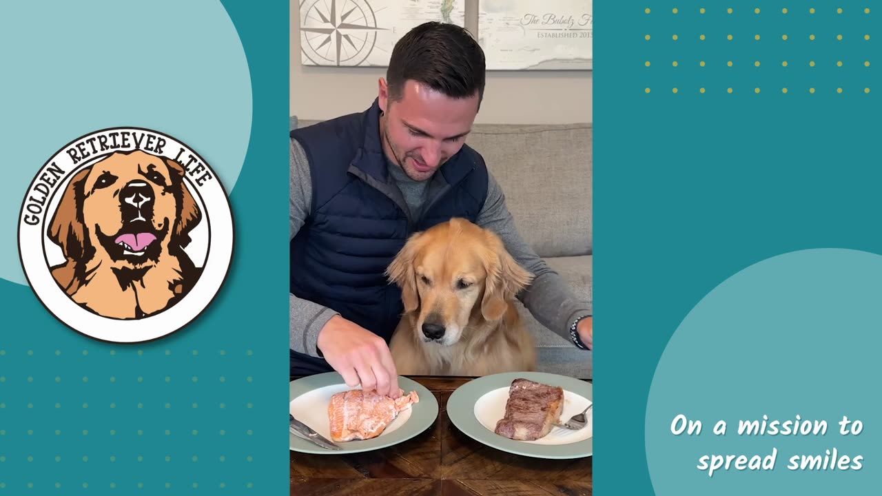 Best Dog Taste Tests of the Year