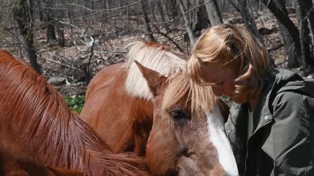 Rumble/Horse eating with hand in a cute way