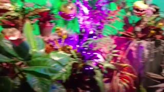 I love this plant artwork! Part 59!