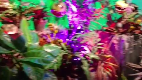 I love this plant artwork! Part 59!