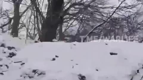 Ukrainian Tank Rolls Up and Starts Blasting