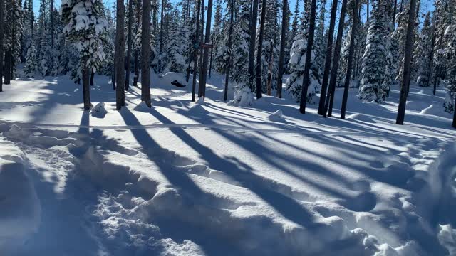 The Morning is Young, Time to Explore – Central Oregon – Swampy Lakes Sno-Park – 4K