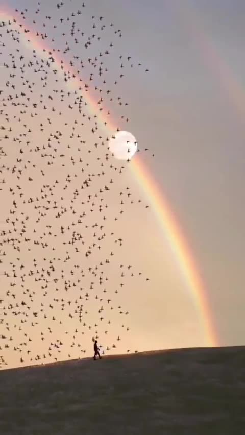 How Beautiful / NATURE