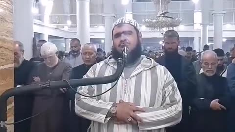 45 seconds of beauty mosque in #Algeria 🇩🇿 a cat climbed the imam's shoulder