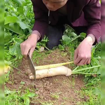 What 😀😀😀😁